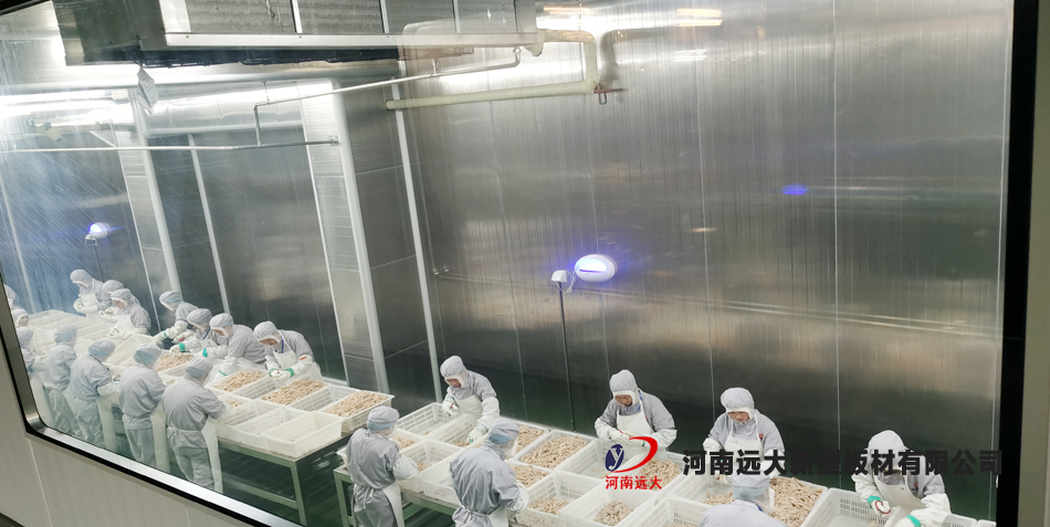 九多肉多项目(图2)